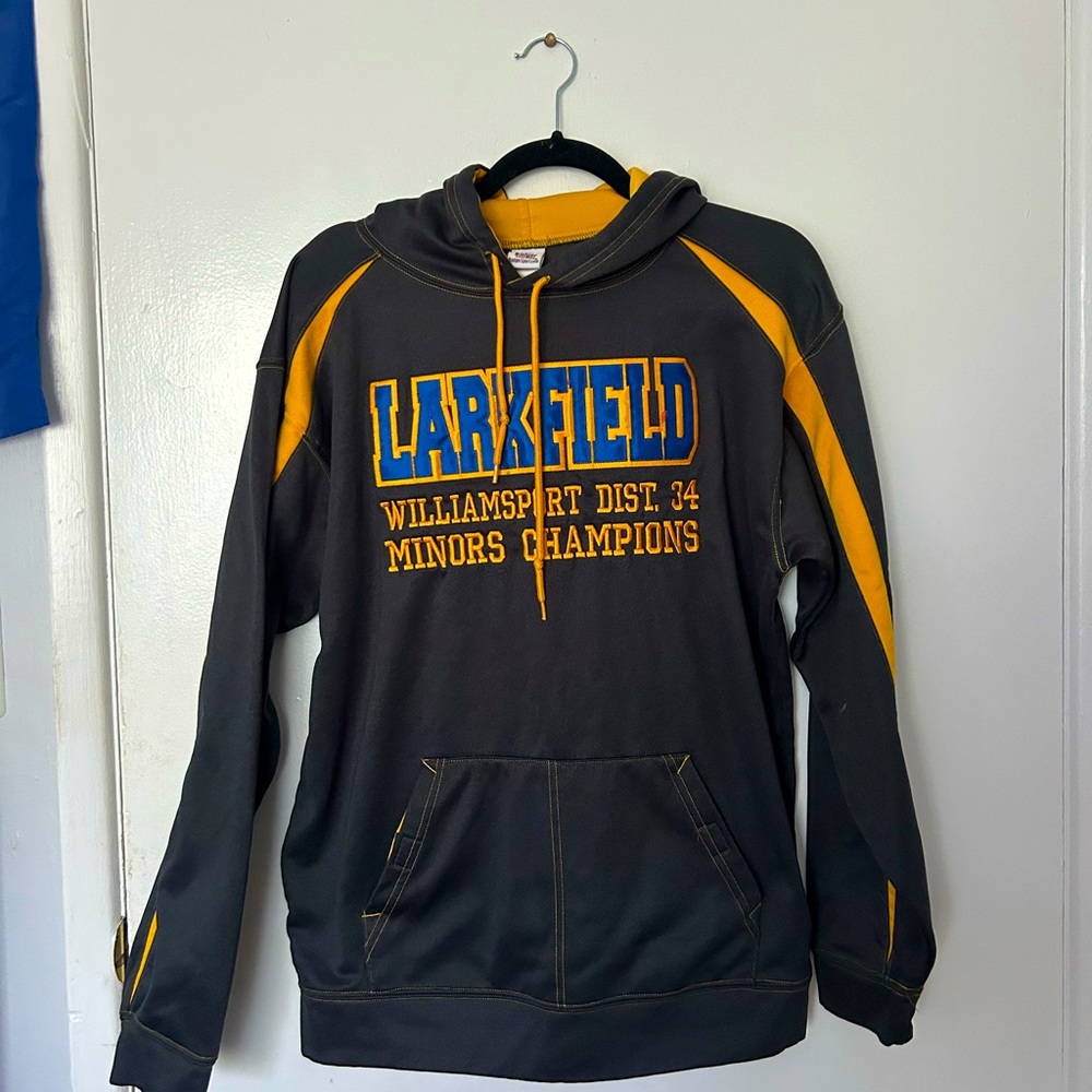 Badger Sports Hoodie